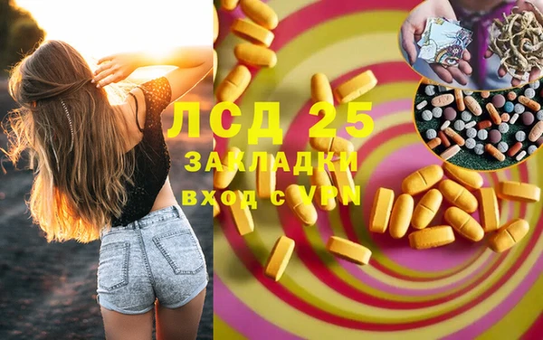 PSILOCYBIN Балабаново