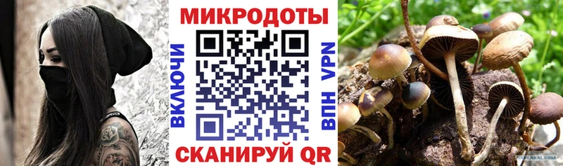 Галлюциногенные грибы мицелий  Знаменск 